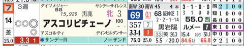 アスコリピチェーノ（「コース実績」）