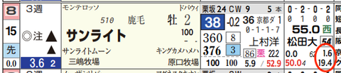 ハイブリッド新聞レース選択