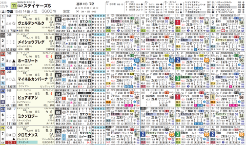 ステイヤーズＳ１