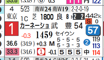 パラスアテナ（カーネーションＣ）