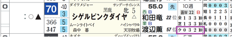 シゲルピンクダイヤ(「クラス成績」)