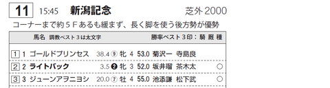 ライトバック（キズナ産駒２）