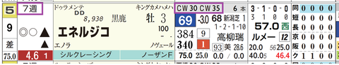 エネルジコ（「追切指数」）