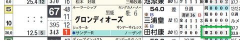 グロンディオーズ(「コース実績」)