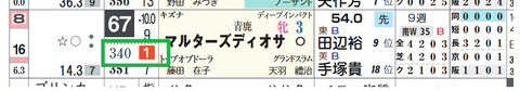 マルターズディオサ（「推定前半３ハロン」１位）
