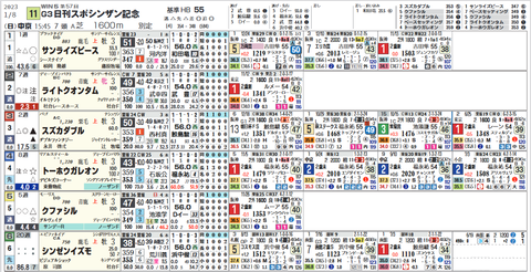 シンザン記念１