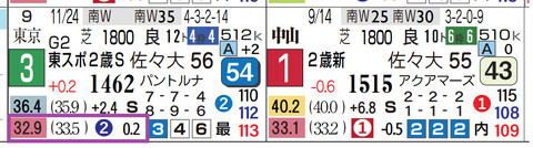 ライヒスアドラー（東京スポーツ杯２歳Ｓ）