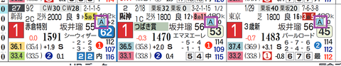 ロードデルレイ(「レースレベル」)