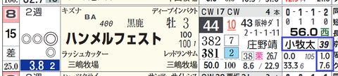 京都１Ｒ⑮ハンメルフェスト