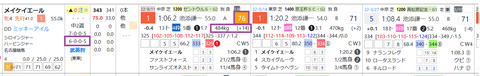 メイケイエール