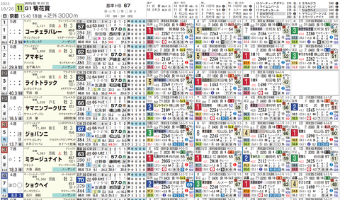 菊花賞１