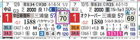 ヤマニンサルバム（中日新聞杯）