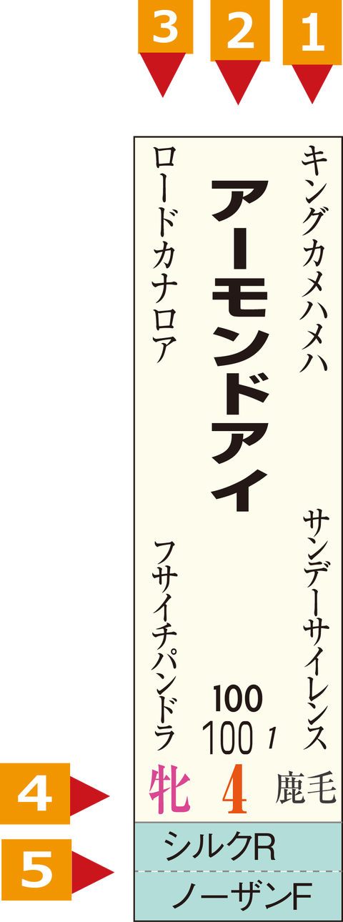 HB新聞縦カラー２