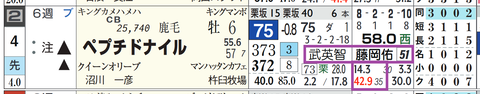 ペプチドナイル(「騎手×厩舎成績」)
