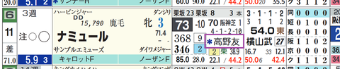 ナミュル（２頭出し以上は「＊」で表示）