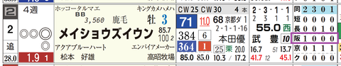 阪神１０Ｒ２