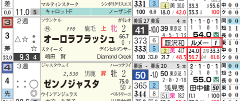 オーロラフラッシュ