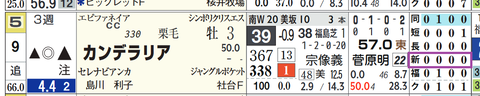 新潟6R3