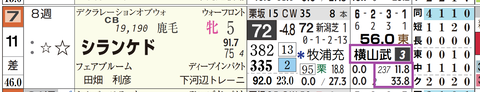 シランケド（横山武騎手）