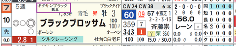 ブラックブロッサム（キタサンブラック産駒）
