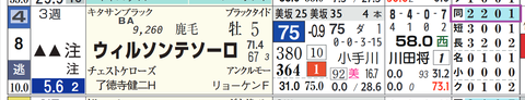ウィルソンテソーロ(「距離実績」)