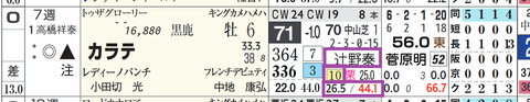 カラテ(辻野厩舎)