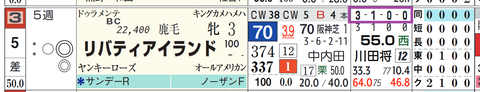 リバティアイランド（「全成績」）