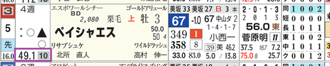 ペイシャエス（予想人気）
