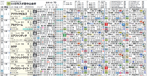 中山金杯の想定１