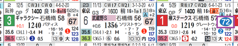 タガノビューティー(「ハイブリッド指数」=《70》超え)