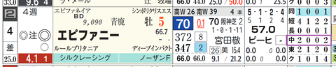 エピファニー（「コース実績」）