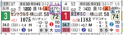 トウシンマカオ（馬体減）
