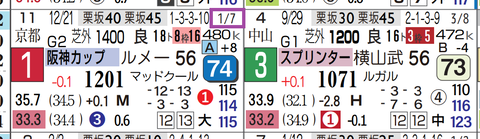 ナムラクレア（阪神カップ）