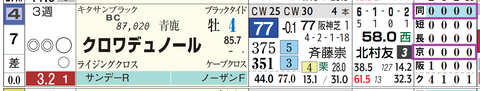 クロワデュノール（「距離実績」「コース実績」）