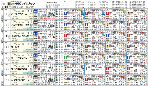 ＮＨＫマイルＣの想定版１