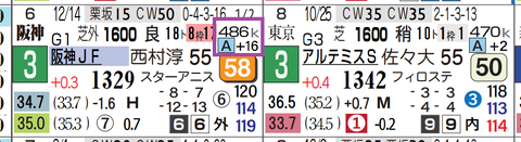 タイセイボーグ（阪神ＪＦ）