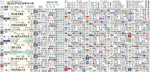 アイビスＳＤ１