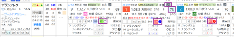 ナランフレグ