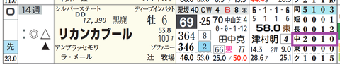 リカンカブール（「コース実績」）