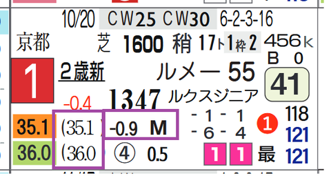 エリカエクスプレス（新馬）