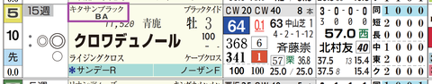 クロワデュノール(キタサンブラック産駒)