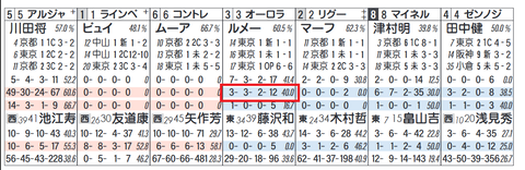 オーロラフラッシュ