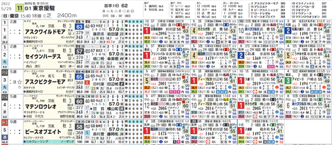ダービーの想定版（ヨコ）