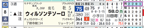 ウィルソンテソーロ(「距離実績」)