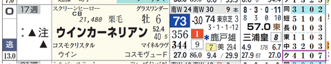 ウインカーネリアン（「クラス成績」）