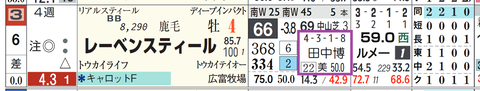 レーベンスティール(田中博康厩舎)