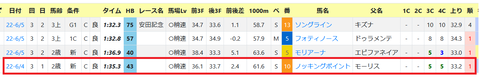 東京・芝1600ｍの新馬戦