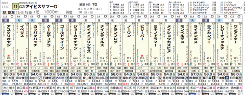 アイビスＳＤの想定版
