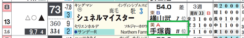 シュネルマイスター(手塚厩舎)