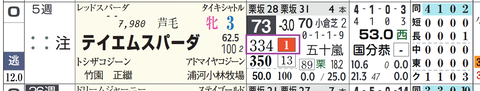 テイエムスパーダ（「推定前半３ハロン」１位）